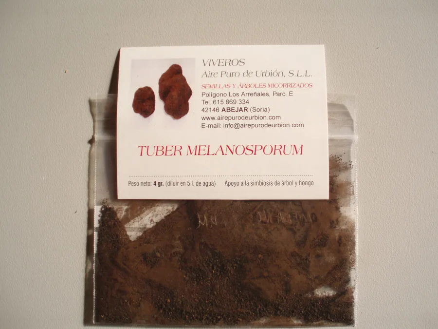Tuber Melanosporum - TRUF/E/M