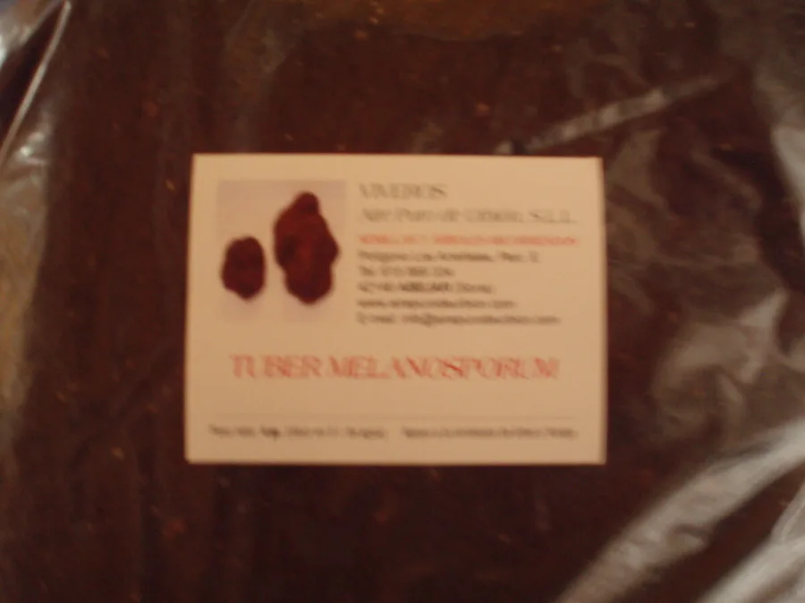 Tuber Melanosporum - SUS/12/A/M - 15 l.